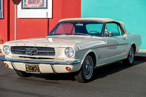 Mustang 1964, Ford Mustang 1964, Vinyl Interior, Mustang Logo, Triumph Tr3, Vintage Mustang, Opening Car, Ford Mustang Convertible, 1964 Ford