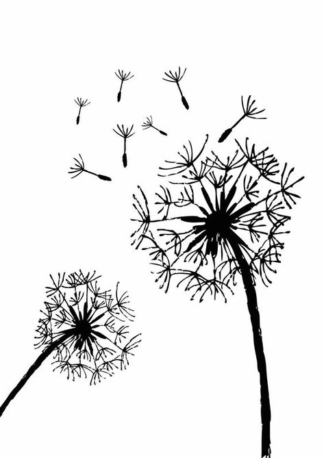 Free Printable Dandelion Stencils | Dandelion - plus lots of other free graphics Printable Stencil Patterns, Stencils Printables Templates, Wood Burning Patterns Stencil, Free Stencils Printables, Wood Burning Stencils, Pyrography Patterns, Stencils Printables, Wood Burning Crafts, Free Stencils