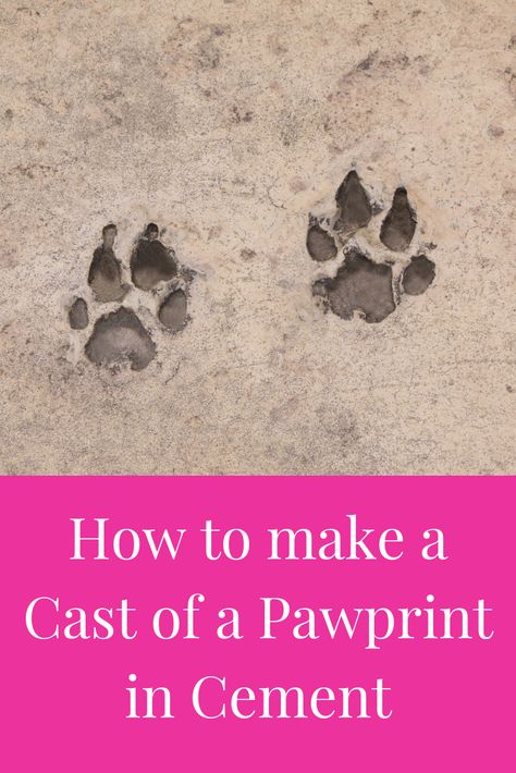 How to make Plaster of Paris Paw Prints; Plaster Paw prints, Plaster of Paris Paw Prints, Diy Plaster Paw Prints, how to make a paw print of your dog, Paw Casting Dog Paw Prints, Paw Prints Art DIY, Paw Prints Keepsake, Paw Prints memorial, Paw Prints Crafts, Paw Prints ideas, Paw print Mold, Paw Prints frame Paw Prints Kit, Pet Art,Pet Craft, Pet Casting + Paw Print Videos, tiny Paw prints. Puppy paw prints DIY dog paw prints Paw print Jewelry Cute dog paw prints Dog Paw Print Craft, Paw Print Crafts, Pet Craft, Dog Balm, Paris Crafts, Printed Concrete, Prints Ideas, Puppy Paw Prints, Puppy Paw