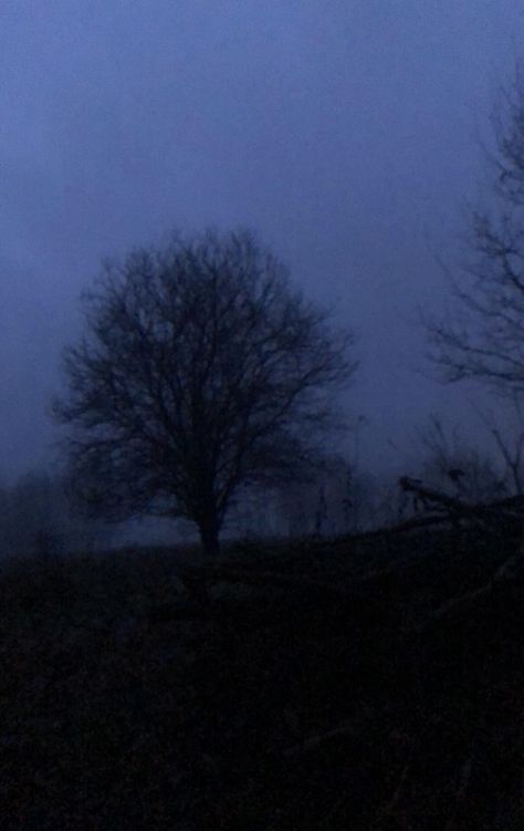 Dark Foggy Aesthetic Wallpaper, Deep Winter Pictures, Bleak Winter Aesthetic, Gray Hour Winter, Aesthetic Deep Pictures, Oh Beautiful Poison Tree, Poison Tree Aesthetic, Dark Tree Aesthetic, Gloomy Winter Aesthetic