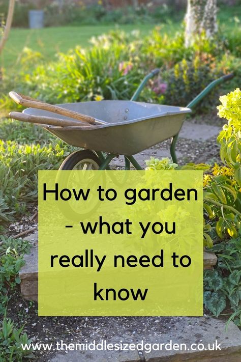 Gardening for beginners - learn the basic, easy tips to have a beautiful garden! #middlesizedgarden Garden Border Plants, Gardening Infographic, Easy Herbs To Grow, Frugal Gardening, Gardening For Dummies, Gardening Planting, Vegetable Garden For Beginners, Survival Gardening, Starting A Garden