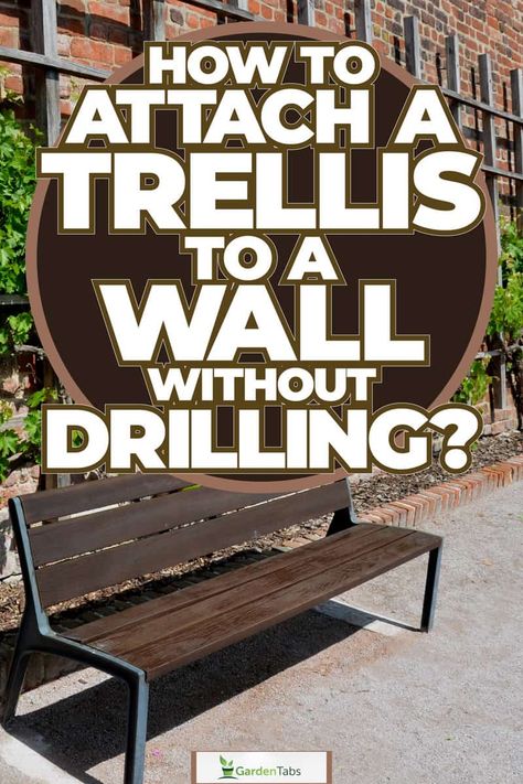 How To Attach A Trellis To A Wall Without Drilling? [Step By Step Guide] Attaching Trellis To House, Diy Trellis On Brick Wall, Wall Mounted Trellis Outdoor, Front Door Trellis Ideas, Outdoor Wall Trellis Ideas, Front Yard Trellis Ideas, Diy Wall Trellis Outdoor, Decorate Outdoor Brick Wall, Garden Wall Trellis Ideas