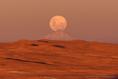 Olinda, Desert Sand Dunes, Desert Nature, Desert Aesthetic, Atacama Desert, Desert Photography, Desert Mountains, Desert Dream, Desert Vibes