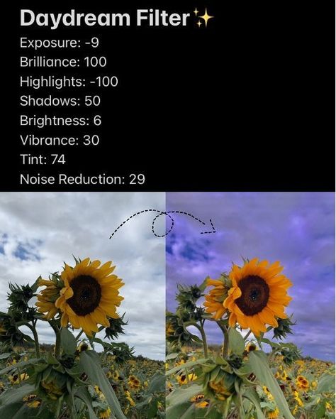 Settings for a "Daydream Filter" Filter Photo, Vintage Photo Editing, Photo Hacks, Photography Tips Iphone, Fotografi Iphone, Phone Photo Editing, Learn Photo Editing, Photo Editing Vsco, Lightroom Tutorial Photo Editing