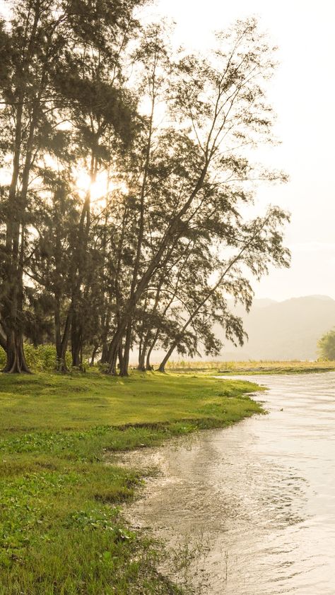 Peaceful nature vibe on lakeside - camping site. Nature, Mapanuepe Lake Zambales, Lake Mapanuepe, Philippines Province Aesthetic, Zambales Philippines, Au Pics, Farm Layout, Camping Places, 2023 Vision