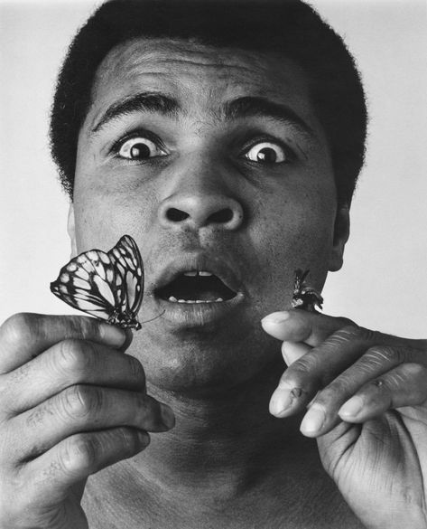 Muhammad Ali in 1977 - The New York Times Mohammed Ali Art, Muhhamad Ali, Muhammad Ali Wallpaper, Mohamad Ali, Muhammad Ali Art, Muhammad Ali Quotes, محمد علي, Mohamed Ali, Muhammed Ali