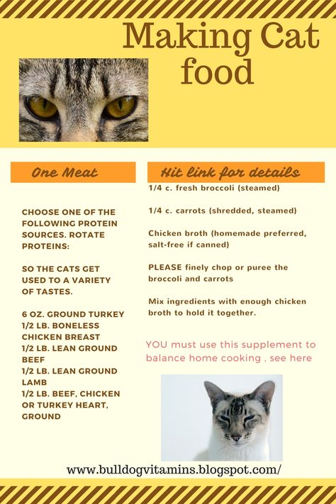 Making cat food recipe, free cat food recipes, healthy supplements for your cat,  http://bulldogvitamins.blogspot.com/2011/01/picky-dog-or-cat-i-have-sample-of-food.html Cat Food, Cat Food Recipes, Diy Cat Food, Healthy Cat Food, Raw Cat Food Recipes, Cat Treats Homemade, Homemade Cat Food, Best Cat Food, Cat Nutrition