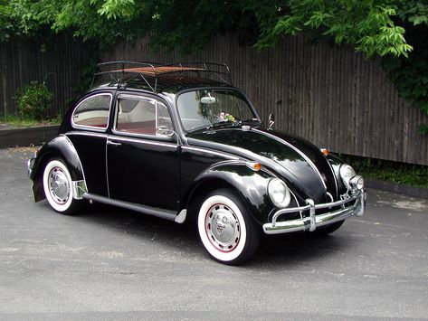 Vw Beetle Custom, Vw Beetle Accessories, Mercedes Auto, Vw Super Beetle, Van Vw, Kdf Wagen, Vw Sedan, Volkswagen New Beetle, Vw Classic