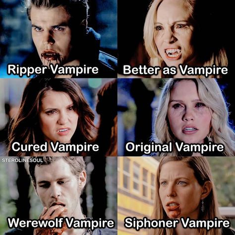 The Vampire Diaries on Instagram: “Types of vampires in tvd🧛‍♀️💖 [Please save & story share for the algorithm] ↢ - - - ∵✫❉ - - - ↣ [𝐪𝐨𝐭𝐝] Who's your favorite Vampire? [𝐚𝐨𝐭𝐝]…” The Vampire Diaries, Vampire Diaries, Types Of Vampires, The Vampire Diaries Characters, Vampire Movies, Vampire Diaries Funny, Original Vampire, Vampire Diaries Cast, The Vampire