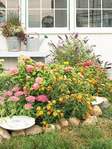 Create an inviting habitat for butterflies with careful plant selection and placement. Front Gardens, Butterfly Gardens, Colorado Living, Front Yards, Midwest Living, Garden Drawing, Butterfly Bush, Attract Butterflies, Tall Plants