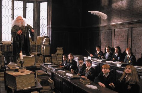 Harry Potter and the Sorcerer's Stone Devon Murray, Professor Flitwick, I Origins, Hogwarts Classes, Custom Harry Potter, Harry Potter Travel, Warwick Davis, Hogwarts Dr, Potter Aesthetic