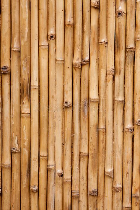 Stock Background Images, Bamboo Background Wallpapers, Texture Moodboard, Wood Moodboard, Bamboo Column, Bamboo Moodboard, Bamboo Aesthetic, Wood Texture Wallpaper, Eco Background