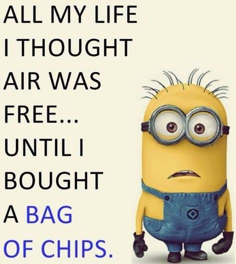 November Pics, Minions Pics, Meme Minion, Gain Motivation, Jenaka Kelakar, Minion Meme, Minion Memes, Minions Humor, Funny Minions