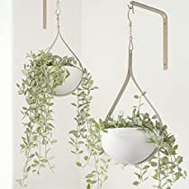 Check this out! Conservatory Room, Metal Plant Hanger, Shower Plant, Metal Plant Hangers, Hanging Wall Planters, Hanging Herbs, Plant Hooks, Kitchen Plants, Hanging Planters Indoor