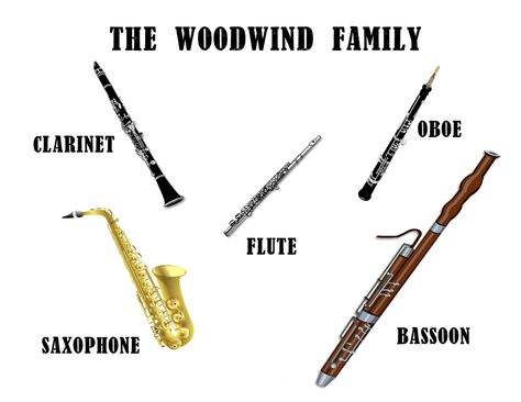 Learn English Vocabulary through Pictures: Musical Instruments – ESL Buzz Bassoon, Woodwind Family, Instruments Of The Orchestra, Instrument Families, Woodwind Instrument, Homeschool Music, Woodwind Instruments, Flute Music, Learn English Vocabulary