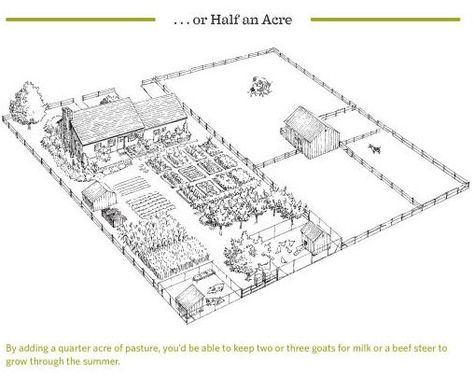 Half acre homestead, from the book "The Backyard Homestead." 2 Acre Homestead, Micro Farming, Backyard Homestead, Homestead Layout, Seedlings Indoors, Modern Homestead, Acre Homestead, Farm Plans, Farm Layout