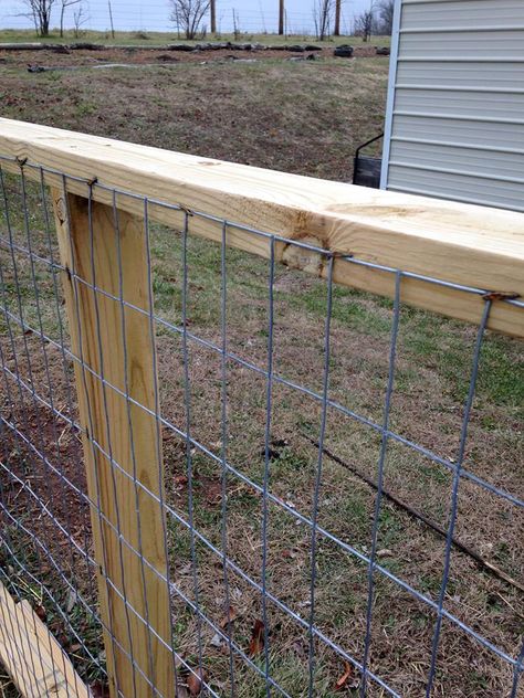 Here's how to build your own GOAT FENCE 10931015_622478754545200_8759561658579833833_n Cerca Natural, Diy Dog Fence, Goat Fence, Goat Shelter, Goat Pen, Goat House, Goat Care, Goat Barn, Pygmy Goat