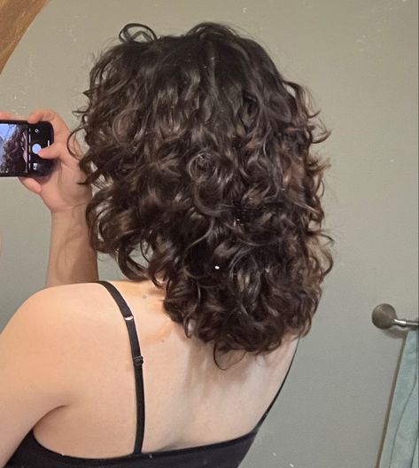 Medium Curly Wolfcut, Curly Short Layered Haircuts, Dark Brown Short Curly Hair, Short Haircut Curly Hair Natural Curls, Curly Short Hair Layers, Medium Haircut Curly Hair, Wolfcut Wavy Hair Medium, Wolfcut Hair Medium Curly, 2c Haircuts Short