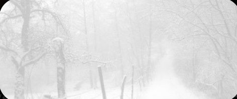 white snow discord banner Christmas Banner Gif Discord, Snowing Gif Banner, Snow Aesthetic Banner, Snow Gif Banner, Snow Banner Aesthetic, Winter Banner Discord, White Gif Aesthetic, White Banner Discord Gif, Snow Banner Gif