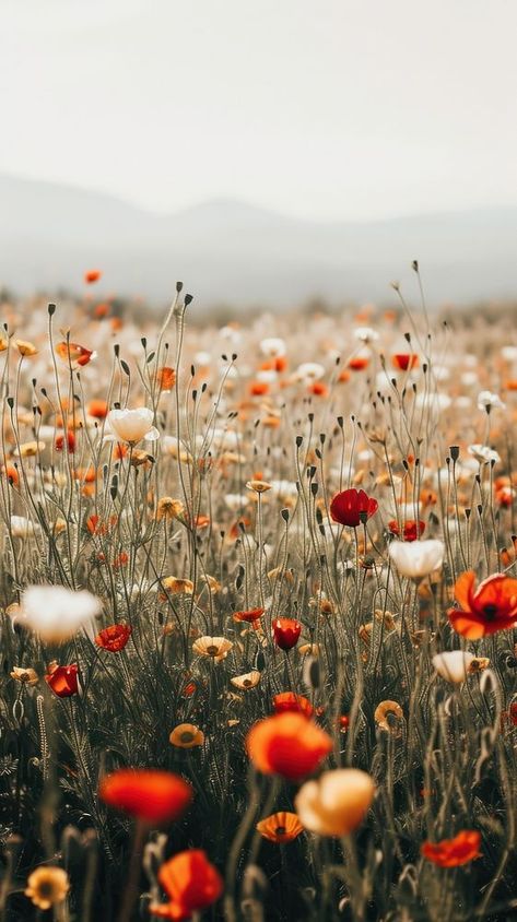 Aesthetic flower field photo landscape grassland outdoors. | premium image by rawpixel.com Fields Of Wildflowers, I Phone Backgrounds Iphone Wallpaper, Colorful Flowers Aesthetic Wallpaper, Wildflowers Phone Wallpaper, Ipad Wallpaper Wildflowers, Photos Of Wildflowers, Meadow Iphone Wallpaper, Wildflower Desktop Wallpaper, Wild Flowers Field