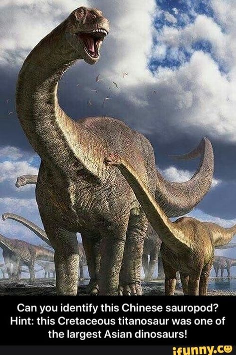 Can you identifythis Chinese sauropod? Hint: this Cretaceous titanosaur was one of the largest Asian dinosaurs! - Can you identify this Chinese sauropod? Hint: this Cretaceous titanosaur was one of the largest Asian dinosaurs! – popular memes on the site iFunny.co