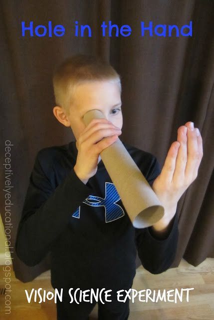 Relentlessly Fun, Deceptively Educational: Hole in the Hand Experiment (Vision Science) Make Rock Candy, Human Body Projects, Stem Experiments, Sound Science, Science Club, Kid Experiments, Easy Science Experiments, Stem Science, Preschool Science