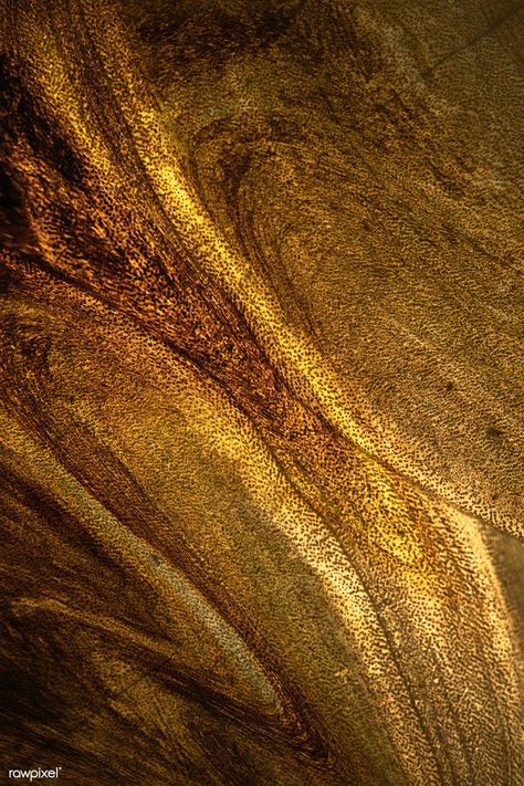 Dark gold paint textured background | free image by rawpixel.com / Aum Gold Texture Art, Color Textures Background, Dark Gold Wallpaper, Brown Gold Background, Gold Background Aesthetic, Dark Gold Background, Gold Watercolor Background, Gold Metallic Background, Gold Glitter Wallpaper