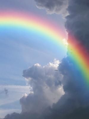 I set My rainbow in the cloud, and it shall be for the sign of the covenant between Me and the earth.  Genesis 9:13 Rainbow Pictures, God's Promise, Rainbow Photo, Rainbow Rain, Chakra Colors, Rainbow Sky, Rainbow Aesthetic, Love Rainbow, To Infinity And Beyond