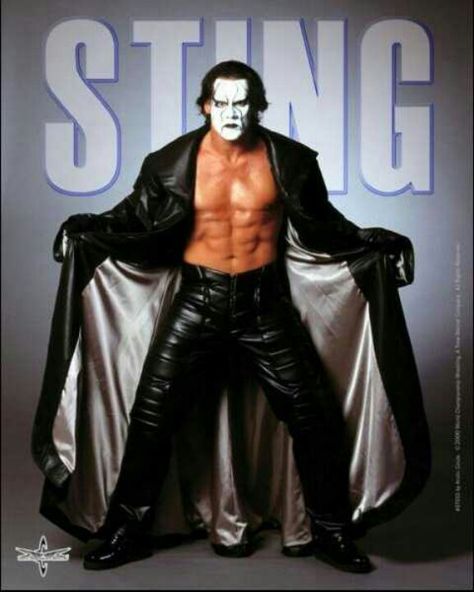 Stinger! Sting Wrestler, Sting Wwe, Wwe Sting, Wwe Icons, Steve Borden, Nwo Wrestling, Sting Wcw, Ecw Wrestling, Darby Allin