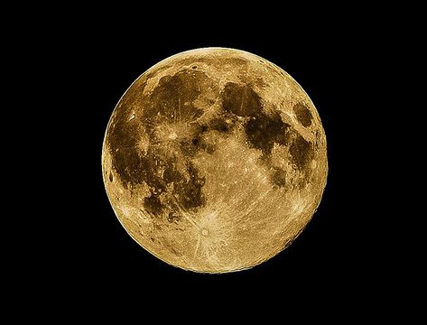 Nature, Yellow Moon, Natural Fertility, Full Moon Ritual, Space Photography, Barn Painting, Moon Garden, Wolf Moon, Moon Rise