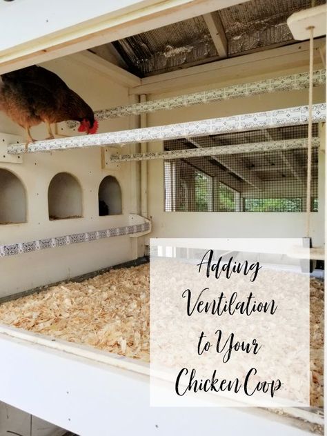 Chicken Coops For Hot Climates, Chicken Coop Hot Climate, Hot Climate Chicken Coop, Chicken Coop Ventilation Ideas, Ventilation Diagram, Chicken Coop Ventilation, Coop Ventilation, Garden Log Cabin, Backyard Homesteading