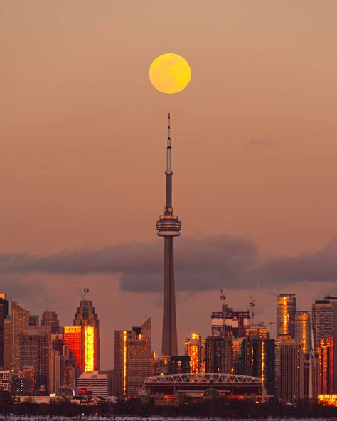 Toronto Pictures, Canada City, Canada Photography, Toronto City, Toronto Travel, Toronto Ontario Canada, Toronto Ontario, Travel Instagram, City Aesthetic