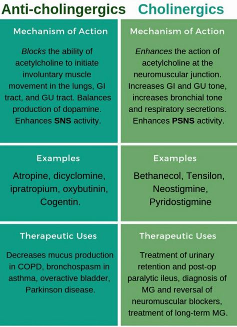 Mechanism of action Examples Therapeutic uses #pharmacology #pharmacy #drugs #knowledge #uses #atropine #bethanecol Autocoids Pharmacology, Mechanism Of Action Pharmacology, Antimalarial Pharmacology, Atropine Pharmacology, Autonomic Nervous System Pharmacology, Paramedic Aesthetic, Pharmacy Inspiration, Nurse Loading, Medical Suffixes