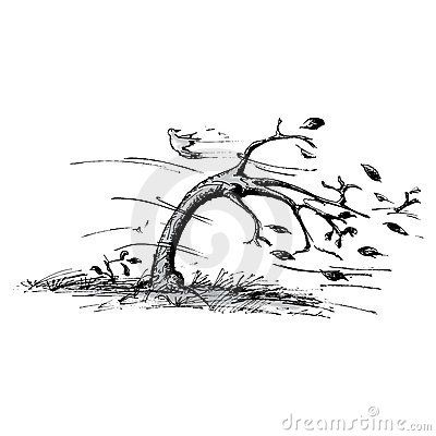 Tree In Black And White | of a tree blowing in the wind. This is the black and white ... Wind Illustration, Wind Logo, Wind Tattoo, Wind Drawing, Tree Drawing Simple, Wild Is The Wind, Blowing Wind, Wind Art, Fall Art Projects