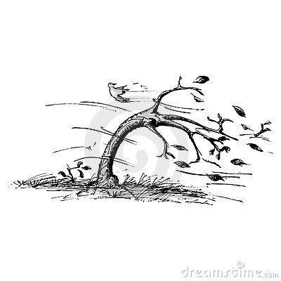 Tree In Black And White | of a tree blowing in the wind. This is the black and white ... Wind Illustration, Wind Tattoo, Wind Drawing, Tree Drawing Simple, Wild Is The Wind, Blowing Wind, Tree Doodle, Wind Art, Fall Art Projects