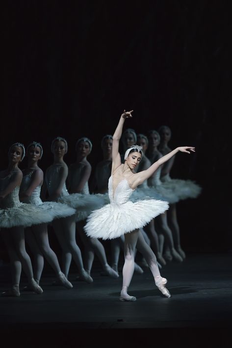 Alvin Ailey, Yasmine Naghdi, Swan Lake Ballet, The Royal Ballet, Ballet Beauty, Ballet Performances, Ballet Inspiration, Dancing Aesthetic, Zoella