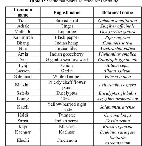 Scientific Names Of Plants, Rural Medicine, Medicinal Plants And Their Uses, Plants And Their Uses, Children's Day Message, Respiratory Problems, Indigenous Knowledge, Rural Women, Candida Albicans