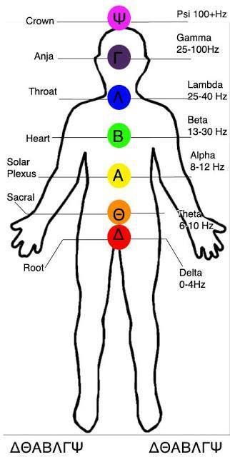 The Seven Chakras of the human body are relatable to the seven primary brain… Anja Chakra, Delta Waves, Theta Waves, Chakra Chart, Alpha Waves, The Seven Chakras, Chakra Racine, The 7 Chakras, Transcendental Meditation