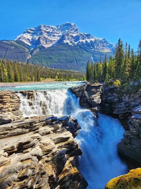 Nature, Alberta Canada Photography, Athabasca Falls, Jasper National Park Canada, Canada Mountains, Jasper Canada, Canada Pictures, Vancouver Travel, Canada Photography