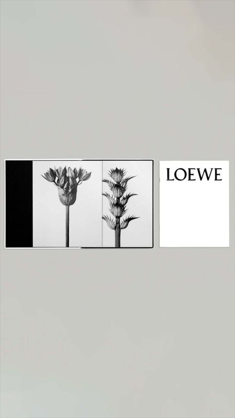 Loewe fragrance brand and package design by DJA - Fivestar Branding Agency Is A Design and Branding Agency. This Work Belongs to The Accredited Artist and Is Curated For Inspiration Only 
#branding #packaging #brandinginspiration Fragrance, Loewe Packaging, Branding Packaging, Branding Agency, Package Design, Branding Inspiration, A Design, Packaging Design, Branding