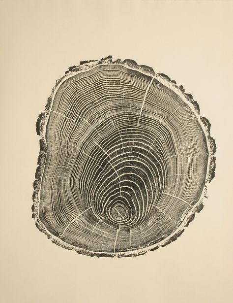 Bryan Nash Gill - IGNANT Tree Rings, Wood Patterns, Art Graphique, 로고 디자인, Art Plastique, 11 11, Linocut, Cool Drawings, Nature Art