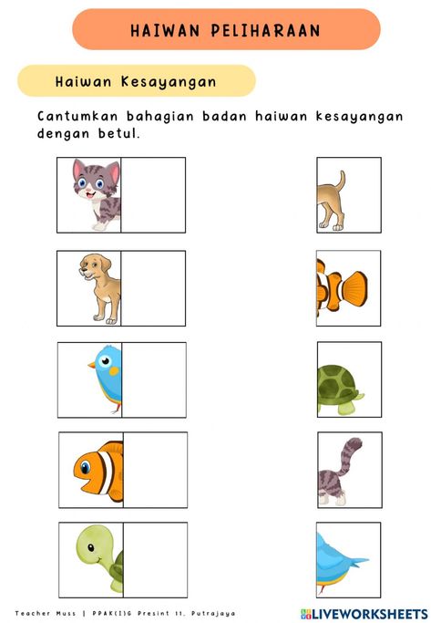 Pets Activities For Toddlers, Babysitting Crafts, Tracing Worksheets Preschool, Worksheets Preschool, Activities Preschool, Math Activities Preschool, Toddler Age, Haiwan Peliharaan, Beach Wallpaper