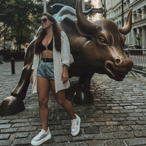 New York Wall street Bull big city USA girl fashion street Animals, New York Wall Street, Wall Street Bull, Big City, Wall Street, New York, Wall