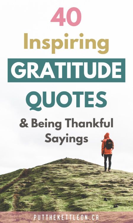 Words Of Gratitude Be Thankful, Quotes Of Appreciation, Blessings Quotes Thankful, Words Of Appreciation And Thanks Quotes, Thankful Sayings, Be Grateful Quotes, Gratitude Sayings, Grateful Thankful Blessed Quotes, Grateful Quotes Gratitude