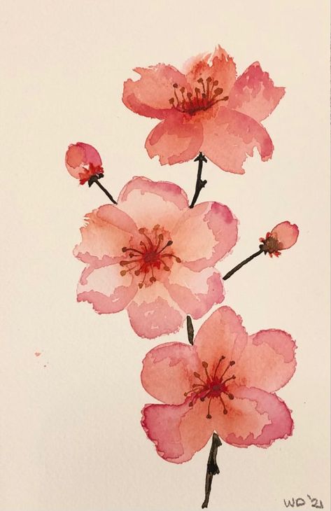 Cherry blossom Aquarelle | Cherry blossom watercolor, Cherry blossom painting, Watercolor flower art Japanese Flowers Drawing Cherry Blossoms, Japanese Art Painting Easy, Sakura Branch Painting, Watercolor Art Cherry Blossom, Cherry Watercolor Painting, Painted Cherry Blossoms, Cheery Blossoms Drawing, Cherry Flower Drawing, How To Draw Cherry Blossoms