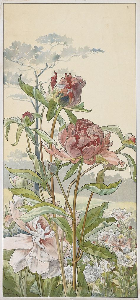 Fiori Art Deco, Fleurs Art Nouveau, Motifs Art Nouveau, Art Nouveau Tattoo, Nouveau Tattoo, Illustration Botanique, Peony Art, Art Nouveau Flowers, Art Nouveau Illustration