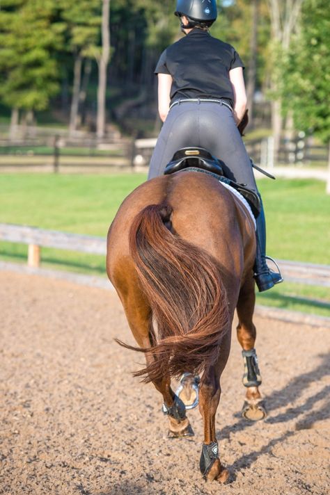 20 Tips for Luxurious Horse 🐴 Tails Cowboy Magic, Horse Information, Healthy Horses, Horse Washing, Horse Tail, Horse Dressage, Pony Club, Horse Grooming, Dressage Horses