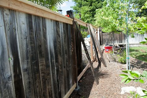 Old Fence Wood, Old Fence Boards, Outdoor Yard Ideas, Redwood Decking, Diy Privacy Fence, Wood Privacy Fence, Fence Stain, Modern Fence Design, Old Fences