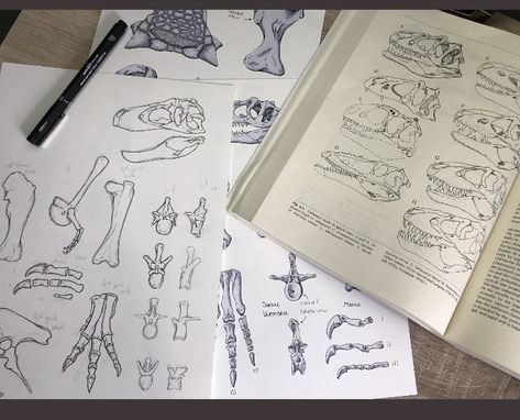 Bones Sketch, Dinosaur Journal, Wildlife Reserve, Dinosaur Bones, Bones, Bullet Journal, Sketch