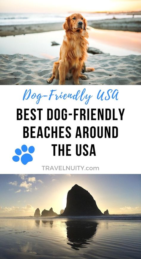 Dog Friendly Vacation, Best Island Vacation, Lanai Island, Pet Friendly Vacations, Dog Friendly Beach, Usa Beaches, Fishing Guide, Philippines Travel, Dog Beach